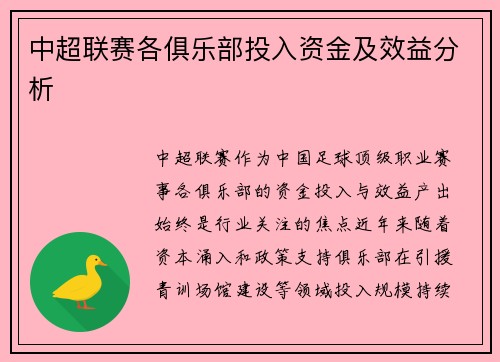 中超联赛各俱乐部投入资金及效益分析