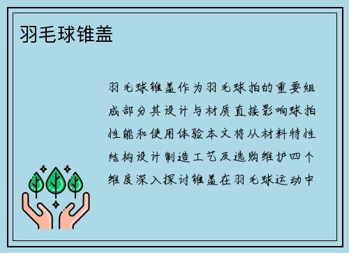 羽毛球锥盖