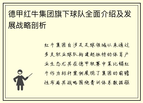 德甲红牛集团旗下球队全面介绍及发展战略剖析
